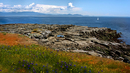 Downes Point, Hornby Island